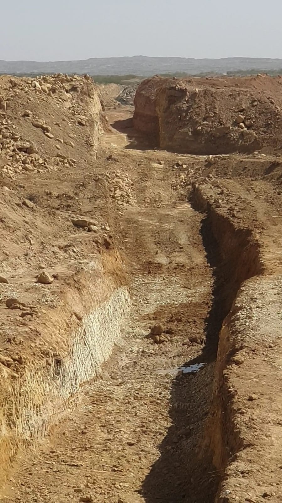 WhatsApp Image 2026-03-02 at 3.03.15 AM