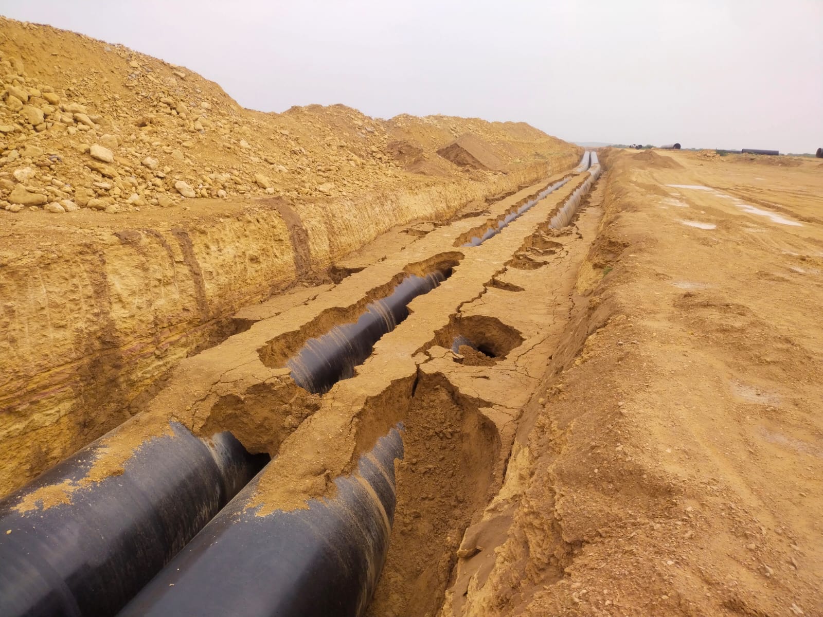 WhatsApp Image 2026-03-27 at 11.01.43 PM