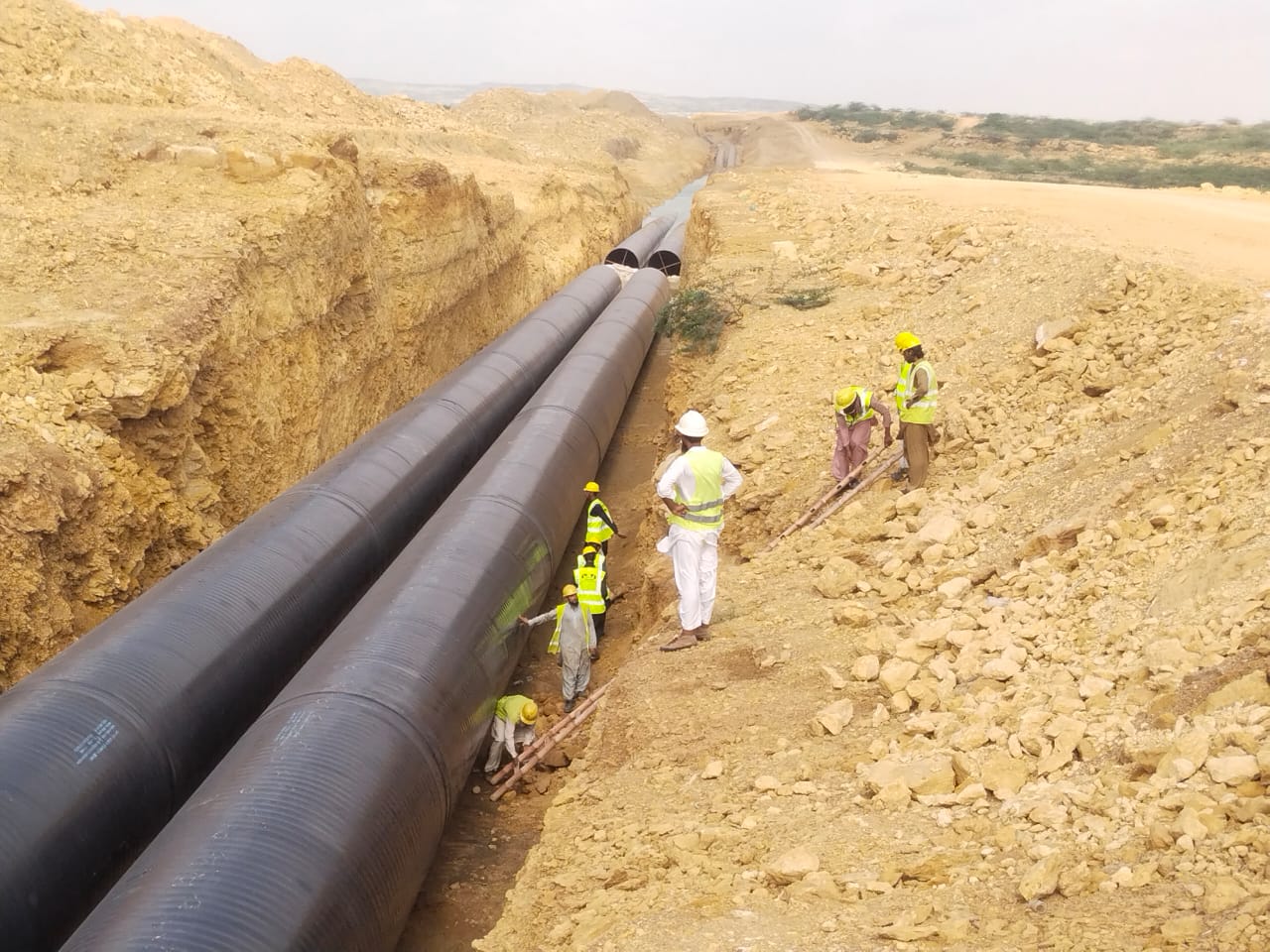 WhatsApp Image 2026-03-27 at 11.01.45 PM