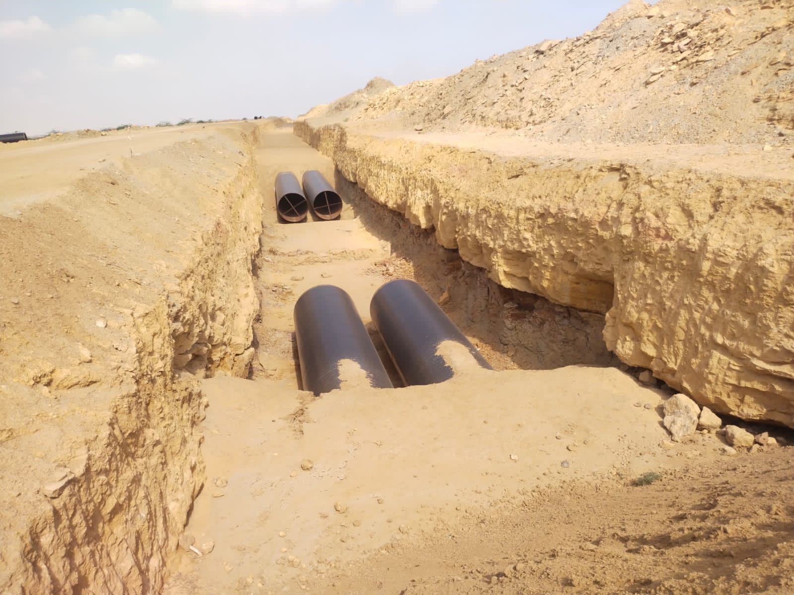 WhatsApp Image 2026-03-27 at 11.02.31 PM (1)