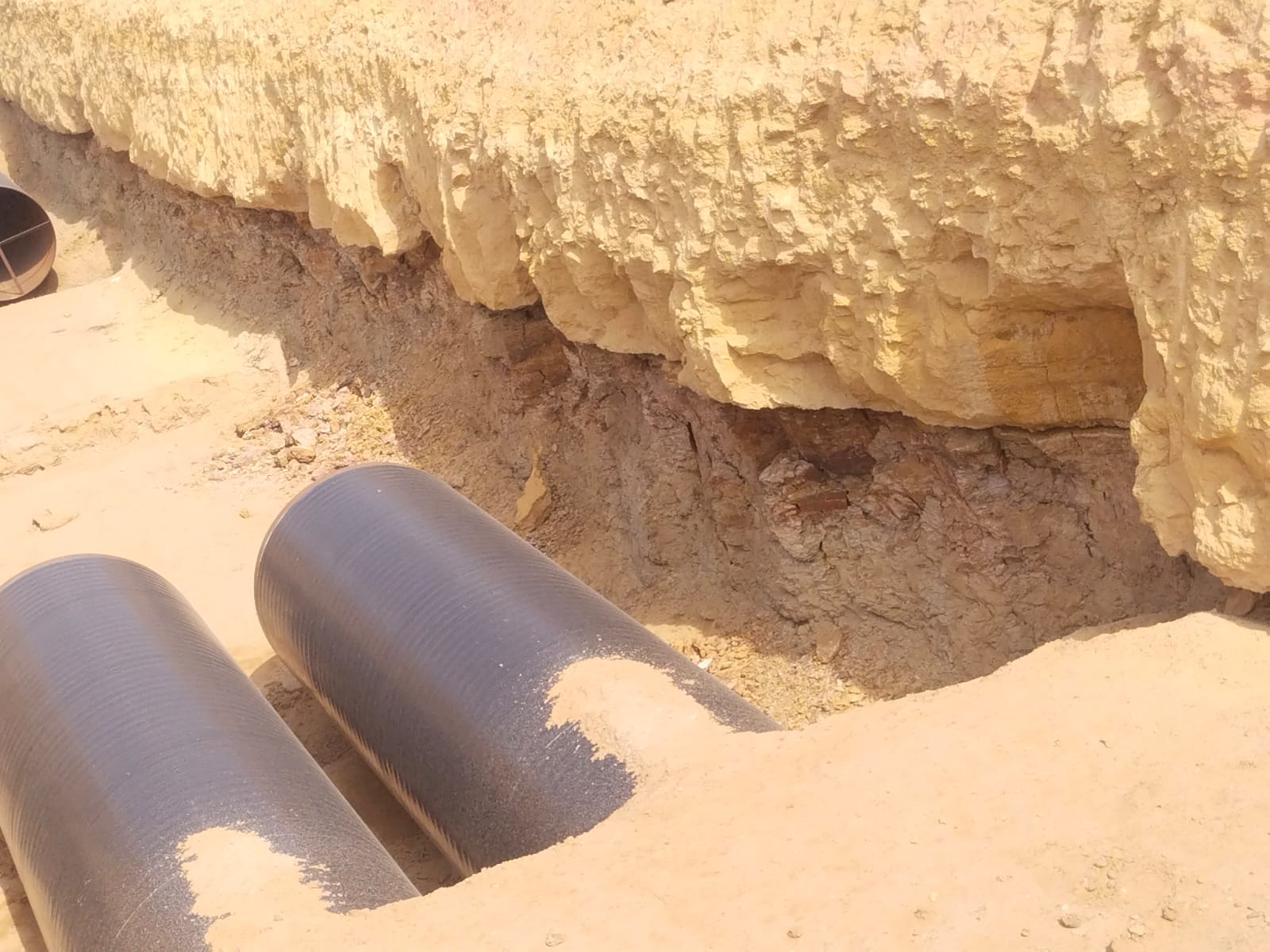 WhatsApp Image 2026-03-27 at 11.02.31 PM