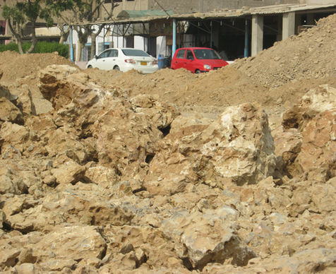 a83857_cfc3cd67f5b0422ea5d9b37ad208408e~mv2